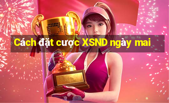 Cách đặt cược XSND ngày mai