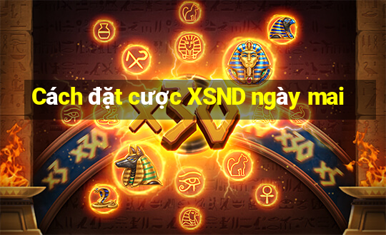 Cách đặt cược XSND ngày mai