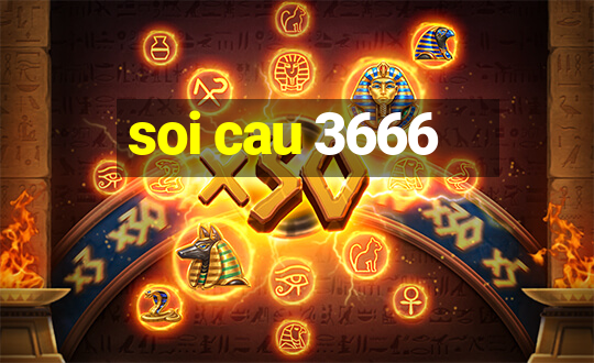 soi cau 3666