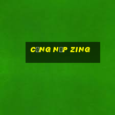 cổng nạp zing