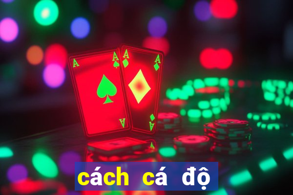 cách cá độ bóng đá hiệu quả