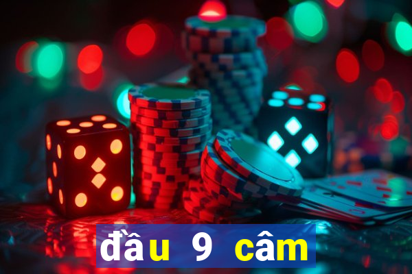 đầu 9 câm đánh lô gì