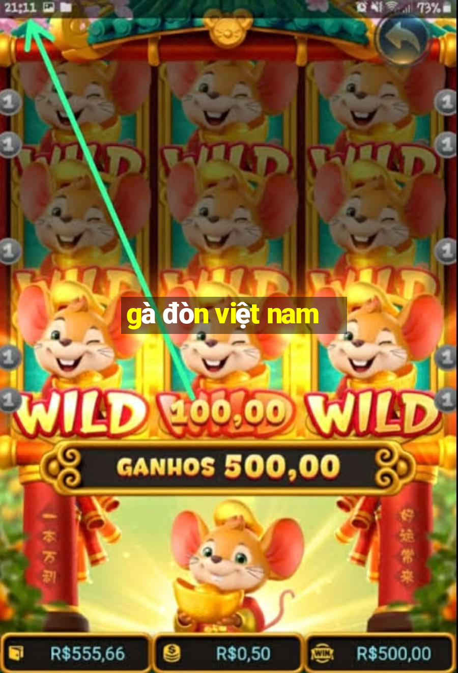 gà đòn việt nam