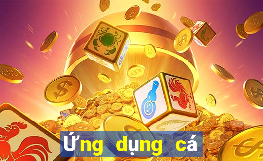 Ứng dụng cá cược NBA